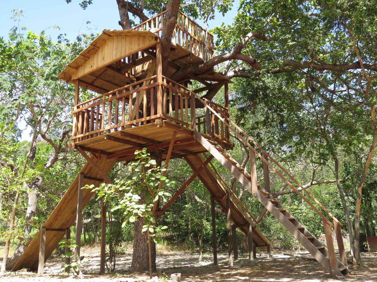 Oca Tocarijus Eco Resort Piracuruca Exterior photo